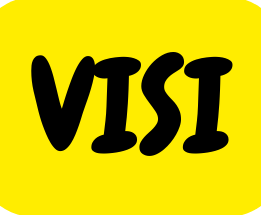 VISI